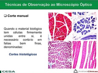  Corte manual
Quando o material biológico
tem células firmemente
unidas entre si, é
necessário cortá-lo em
fatias bem finas,
denominadas:
Cortes histológicos
 