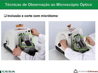  Inclusão e corte com micrótomo
 