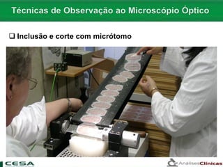  Inclusão e corte com micrótomo
 