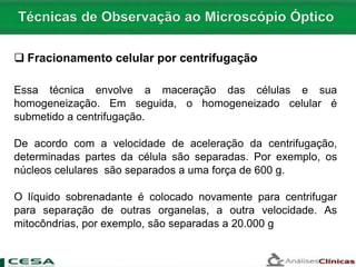  Fracionamento celular por centrifugação
Essa técnica envolve a maceração das células e sua
homogeneização. Em seguida, o homogeneizado celular é
submetido a centrifugação.
De acordo com a velocidade de aceleração da centrifugação,
determinadas partes da célula são separadas. Por exemplo, os
núcleos celulares são separados a uma força de 600 g.
O líquido sobrenadante é colocado novamente para centrifugar
para separação de outras organelas, a outra velocidade. As
mitocôndrias, por exemplo, são separadas a 20.000 g
 