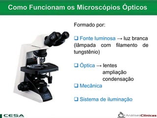 Formado por:
 Fonte luminosa → luz branca
(lâmpada com filamento de
tungstênio)
 Óptica → lentes
ampliação
condensação
 Mecânica
 Sistema de iluminação
 