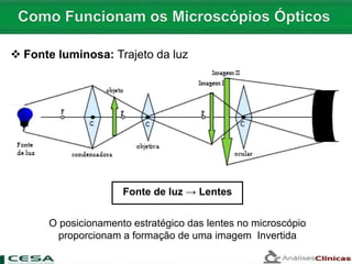 Fonte de luz → Lentes
O posicionamento estratégico das lentes no microscópio
proporcionam a formação de uma imagem Invertida
 Fonte luminosa: Trajeto da luz
 