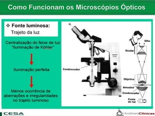  Fonte luminosa:
Trajeto da luz
 