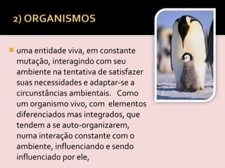  uma entidade viva, em constante
mutação, interagindo com seu
ambiente na tentativa de satisfazer
suas necessidades e adaptar-se a
circunstâncias ambientais. Como
um organismo vivo, com elementos
diferenciados mas integrados, que
tendem a se auto-organizarem,
numa interação constante com o
ambiente, influenciando e sendo
influenciado por ele,
 