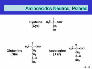 Aminoácidos Neutros, PolaresAminoácidos Neutros, Polares
 