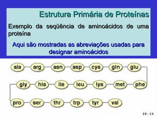 Estrutura Primária de ProteínasEstrutura Primária de Proteínas
Exemplo da seqüência de aminoácidos de umaExemplo da seqüência de aminoácidos de uma
proteínaproteína
Aqui são mostradas as abreviações usadas paraAqui são mostradas as abreviações usadas para
designar aminoácidosdesignar aminoácidos
 