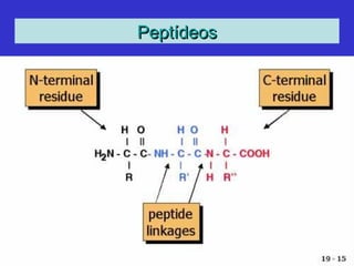 PeptídeosPeptídeos
 