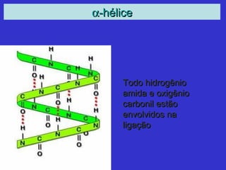 αα-hélice-hélice
Todo hidrogênioTodo hidrogênio
amida e oxigênioamida e oxigênio
carbonil estãocarbonil estão
envolvidos naenvolvidos na
ligaçãoligação
 