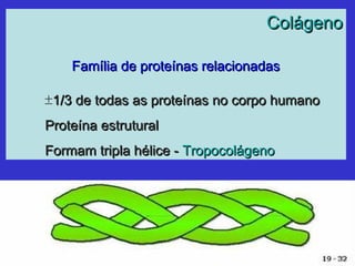 ColágenoColágeno
Família de proteínas relacionadasFamília de proteínas relacionadas
±1/3 de todas as proteínas no corpo humano1/3 de todas as proteínas no corpo humano
Proteína estruturalProteína estrutural
Formam tripla hélice -Formam tripla hélice - TropocolágenoTropocolágeno
 