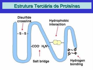 Estrutura Terciária de ProteínasEstrutura Terciária de Proteínas
 