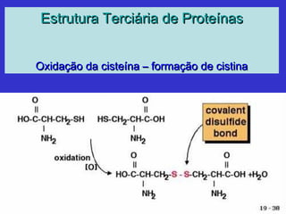 Estrutura Terciária de ProteínasEstrutura Terciária de Proteínas
Oxidação da cisteína – formação de cistinaOxidação da cisteína – formação de cistina
 