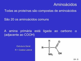 Aminoácidos
Todas as proteínas são compostas de aminoácidos
São 20 os aminoácidos comuns
A amina primária está ligada ao carbono α
(adjacente ao COOH)
Estrutura GeralEstrutura Geral
R = Cadeia LateralR = Cadeia Lateral
 