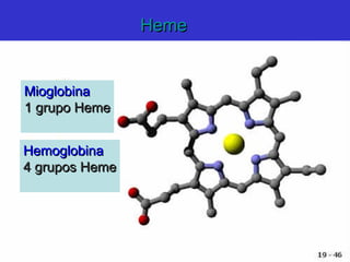 HemeHeme
MioglobinaMioglobina
1 grupo Heme1 grupo Heme
HemoglobinaHemoglobina
4 grupos Heme4 grupos Heme
 