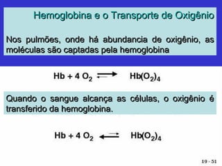 Hemoglobina e o Transporte de OxigênioHemoglobina e o Transporte de Oxigênio
Nos pulmões, onde há abundancia de oxigênio, asNos pulmões, onde há abundancia de oxigênio, as
moléculas são captadas pela hemoglobinamoléculas são captadas pela hemoglobina
Quando o sangue alcança as células, o oxigênio éQuando o sangue alcança as células, o oxigênio é
transferido da hemoglobina.transferido da hemoglobina.
 