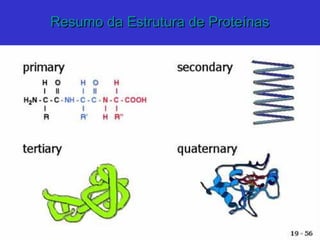 Resumo da Estrutura de ProteínasResumo da Estrutura de Proteínas
 