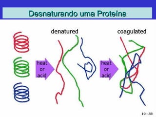 Desnaturando uma ProteínaDesnaturando uma Proteína
 