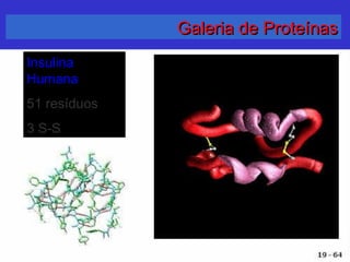 Galeria de ProteínasGaleria de Proteínas
InsulinaInsulina
HumanaHumana
51 resíduos51 resíduos
3 S-S3 S-S
 