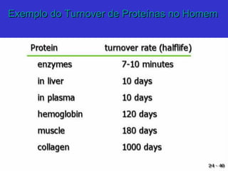 Exemplo do Turnover de Proteínas no HomemExemplo do Turnover de Proteínas no Homem
 