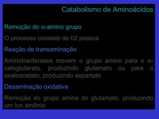 Catabolismo de AminoácidosCatabolismo de Aminoácidos
Remoção doRemoção do αα-amino grupo-amino grupo
O processo consiste de 02 passosO processo consiste de 02 passos
Reação de transaminaçãoReação de transaminação
Aminotranferases movem o grupo amino para oAminotranferases movem o grupo amino para o αα--
cetoglutarato, produzindo glutamato ou para ocetoglutarato, produzindo glutamato ou para o
oxaloacetato, produzindo aspartatooxaloacetato, produzindo aspartato
Desaminação oxidativaDesaminação oxidativa
Remoção do grupo amina do glutamato, produzindoRemoção do grupo amina do glutamato, produzindo
um íon amônioum íon amônio
 