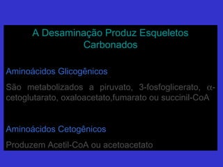 A Desaminação Produz EsqueletosA Desaminação Produz Esqueletos
CarbonadosCarbonados
Aminoácidos GlicogênicosAminoácidos Glicogênicos
São metabolizados a piruvato, 3-fosfoglicerato,São metabolizados a piruvato, 3-fosfoglicerato, αα--
cetoglutarato, oxaloacetato,fumarato ou succinil-CoAcetoglutarato, oxaloacetato,fumarato ou succinil-CoA
Aminoácidos CetogênicosAminoácidos Cetogênicos
Produzem Acetil-CoA ou acetoacetatoProduzem Acetil-CoA ou acetoacetato
 