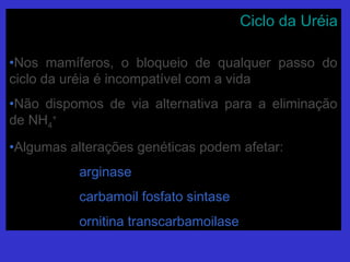 Ciclo da UréiaCiclo da Uréia
•Nos mamíferos, o bloqueio de qualquer passo doNos mamíferos, o bloqueio de qualquer passo do
ciclo da uréia é incompatível com a vidaciclo da uréia é incompatível com a vida
•Não dispomos de via alternativa para a eliminaçãoNão dispomos de via alternativa para a eliminação
de NHde NH44
++
•Algumas alterações genéticas podem afetar:Algumas alterações genéticas podem afetar:
arginasearginase
carbamoil fosfato sintasecarbamoil fosfato sintase
ornitina transcarbamoilaseornitina transcarbamoilase
 
