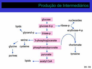 Produção de IntermediáriosProdução de Intermediários
 