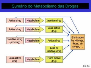 Sumário do Metabolismo das DrogasSumário do Metabolismo das Drogas
 