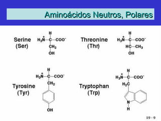 Aminoácidos Neutros, PolaresAminoácidos Neutros, Polares
 