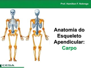 Prof. Hamilton F. Nobrega
Anatomia do
Esqueleto
Apendicular:
Carpo
 