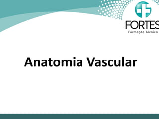 Anatomia Vascular
 