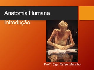 Anatomia Humana
Introdução
Profº. Esp. Rafael Marinho
 