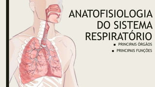 ANATOFISIOLOGIA
DO SISTEMA
RESPIRATÓRIO
■ PRINCIPAIS ÓRGÃOS
■ PRINCIPAIS FUNÇÕES
 
