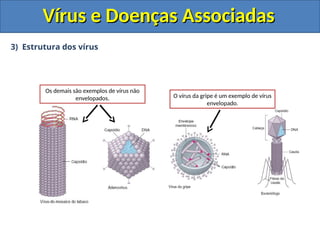 Vírus e Doenças Associadas
Vírus e Doenças Associadas
3) Estrutura dos vírus
O vírus da gripe é um exemplo de vírus
envelopado.
Os demais são exemplos de vírus não
envelopados.
 