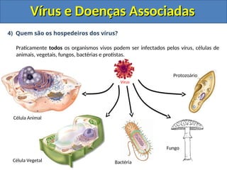 Vírus e Doenças Associadas
Vírus e Doenças Associadas
4) Quem são os hospedeiros dos vírus?
Praticamente todos os organismos vivos podem ser infectados pelos vírus, células de
animais, vegetais, fungos, bactérias e protistas.
Célula Animal
Célula Vegetal Bactéria
Fungo
Protozoário
Vírus
 