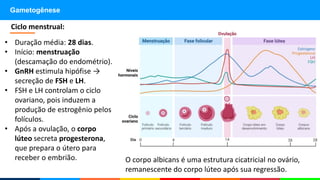 Gametogênese
• Duração média: 28 dias.
• Início: menstruação
(descamação do endométrio).
• GnRH estimula hipófise →
secreção de FSH e LH.
• FSH e LH controlam o ciclo
ovariano, pois induzem a
produção de estrogênio pelos
folículos.
• Após a ovulação, o corpo
lúteo secreta progesterona,
que prepara o útero para
receber o embrião.
Ciclo menstrual:
O corpo albicans é uma estrutura cicatricial no ovário,
remanescente do corpo lúteo após sua regressão.
 