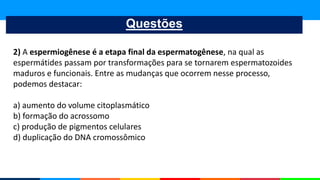 Questões
2) A espermiogênese é a etapa final da espermatogênese, na qual as
espermátides passam por transformações para se tornarem espermatozoides
maduros e funcionais. Entre as mudanças que ocorrem nesse processo,
podemos destacar:
a) aumento do volume citoplasmático
b) formação do acrossomo
c) produção de pigmentos celulares
d) duplicação do DNA cromossômico
 