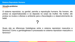 Sistema Reprodutor Humano
O sistema reprodutor, ou genital, permite a reprodução humana. No homem, ele
produz os espermatozoides e os deposita no corpo da mulher. Na mulher, ele
produz os óvulos e oferece o ambiente para a fecundação e o desenvolvimento do
bebê.
?
Quais são as diferenças histológicas entre o sistema reprodutor masculino e
feminino? Como a gametogênese é processada no sistema reprodutor masculino e
feminino?
Situação-problema:
 