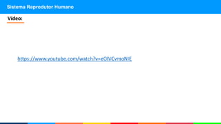 Sistema Reprodutor Humano
Vídeo:
https://www.youtube.com/watch?v=eOlVCvmoNIE
 