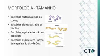 MORFOLOGIA - TAMANHO
• Bactérias redondas: são os
cocos;
• Bactérias alongadas: são os
bacilos;
• Bactérias espiraladas: são os
espirilos;
• Bactérias espirais em forma
de vírgula: são os vibrões.
 