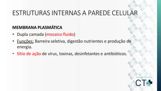 ESTRUTURAS INTERNAS A PAREDE CELULAR
MEMBRANA PLASMÁTICA
• Dupla camada (mosaico fluido)
• Funções: Barreira seletiva, digestão nutrientes e produção de
energia.
• Sítio de ação de vírus, toxinas, desinfetantes e antibióticos.
 