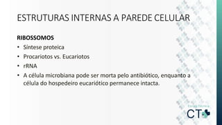 ESTRUTURAS INTERNAS A PAREDE CELULAR
RIBOSSOMOS
• Síntese proteica
• Procariotos vs. Eucariotos
• rRNA
• A célula microbiana pode ser morta pelo antibiótico, enquanto a
célula do hospedeiro eucariótico permanece intacta.
 