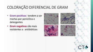 COLORAÇÃO DIFERENCIAL DE GRAM
• Gram-positivas tendem a ser
mortas por penicilina e
detergentes
• Gram negativas são mais
resistentes a antibióticos
 