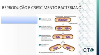 REPRODUÇÃO E CRESCIMENTO BACTERIANO
 