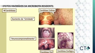 • EFEITOS FAVORÁVEIS DA MICROBIOTA RESIDENTE:
 