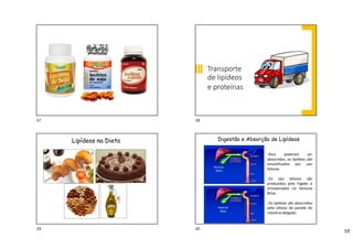 10
Transporte
de lipídeos
e proteínas
Lipídeos na Dieta Digestão e Absorção de Lipídeos
Vesícula
Biliar
Vesícula
Biliar
-Para poderem ser
absorvidos, os lipídeos são
emulsificados por sais
biliares.
-Os sais biliares são
produzidos pelo Fígado e
armazenados na Vesícula
Biliar.
-Os lipídeos são absorvidos
pela células da parede do
intestino delgado.
37 38
39 40
 
