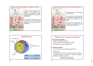12
6) TGAs e (outros lipídeos como o
colesterol) são agregados com
proteínas carreadoras, formando
partículas lipoprotéicas denominadas
quilomicrons.
7) Quilomicrons se difundem para os
dutos linfáticos, caem na circulação
sanguínea e são transportados aos
tecidos alvo.
Digestão e Absorção de Lipídeos: Triacilgliceróis (TAGs)
Gordura da
dieta
Sais Biliares
Emulsão dos Triacilglicerol
Lipase Pancreatica
2 Ác.
Graxos
Monoacil
glicerol Intestino
2 Ác.
Graxos
2CoA
Monoacil
glicerol
2 Ác Acil-CoA
Triacilglicerol
Quilomicrons
Proteínas
Quilomicrons Ducto
linfático
Células da
parede do
intestino
8) Quilomicrons são transportados
para os capilares.
9) Nos capilares os TGAs presentes
nos quilimicrons são degradados até
ác. graxo livres e glicerol por uma
lipase.
10) Glicerol e ác. graxos livres são
internalizados pelos tecidos alvo, por
exemplo: miócito, adipócito.
Digestão e Absorção de Lipídeos: Triacilgliceróis (TAGs)
Gordura da
dieta
Sais Biliares
Emulsão dos Triacilglicerol
Lipase Pancreatica
2 Ác.
Graxos
Monoacil
glicerol Intestino
2 Ác.
Graxos
2CoA
Monoacil
glicerol
2 Ác Acil-CoA
Triacilglicerol
Quilomicrons
Proteínas
Quilomicrons Ducto
linfático
Células da
parede do
intestino
Quilomicrons
Músculo -oxidação
Adipócito Armazenagem
Apolipoproteínas
Colesterol
Fosfolipídeo
Triacilgliceróis - TAGs
Visão Geral do Transporte de Lipídeos
• Características dos Lipídeos:
- Substâncias anfipáticas / apolares.
- Não são solúveis em ambiente aquoso (Sangue).
- Ambiente aquoso: micelas, agregados, etc…
• Transporte de Lipídeos:
-Deve ser feito através de carreadores (lipoproteínas).
Características:
- Carreadores devem preservar a estrutura dos lipídeos e proteínas.
Carreadores = Lipoproteínas
- Carreadores devem ser acessíveis à moléculas reguladoras
(receptores, hormônios e enzimas).
45 46
47 48
 