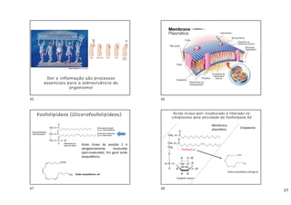 17
Dor e inflamação são processos
essenciais para a sobrevivência do
organismo!
Fosfolipídeos (Glicerofosfolipídeos)
Ácido Graxo da posição 2 é
obrigatoriamente insaturado
(poli-insaturado). Em geral ácido
araquidônico.
Ácido araquidônico, 6
Ácido Graxo poli-insaturado é liberado no
citoplasma pela atividade da fosfolipase A2
Citoplasma
Ácido araquidônico (ômega 6)
Fosfatidil inositol
Membrana
plasmática
65 66
67 68
 