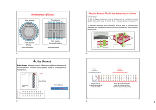 2
Membranas lipídicas
Poucos fosfolipídeos Muitos fosfolipídeos
Fase aquosa
Fase aquosa
Bicamada lipídica
Fase aquosa
Micela
Fase aquosa
Óleo ou Fase Apolar
Fase Apolar
Modelo Mosaico Fluido das Membranas Celulares
Características:
2) Membrana apresenta forte sustentação, porém é fluida o suficiente para a
mobilidade dos fosfolipídios e inserção de outros componentes, como proteínas e
glicoproteínas.
1) Não há ligações covalentes entre os componentes de membranas, somente
ligações fracas, como forças de Van der Waals e interações polares, como pontes-H.
Ácidos Graxos
Ácidos Graxos: bastante comuns, são ácidos orgânicos derivados de
hidrocarbonetos. Formam outros lipídeos como os triacilgliceróis e
fosfolipídeos.
polar
hidrofóbico
Fórmula Básica:
CH3 (CH2)n COOH
Polar
Hidrofílico
Afinidadade pela Água
Apolar
Hidrofóbico
Sem afinidadade pela água
5 6
7 8
 