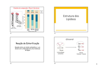 6
Exemlos de composição: Óleos X Gorduras
Saturado
Ligação simples
Insaturados
Dupla ligação
Número
de
Carbonos
Estrutura dos
Lipídeos
Reação de Esterificação
Reação entre um ácido carboxílico e um
álcool com a liberação de uma molécula
de água
Glicerol
Poliálcool - Trialcool
D-Gliceraldeído
Carboidrato
Glicerol
21 22
23 24
 
