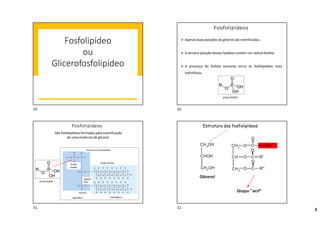 8
Fosfolipídeo
ou
Glicerofosfolipídeo
Fosfolipídeos
grupo fosfato
 Apenas duas posições do glicerol são esterificadas.
 A terceira posição desses lipídeos contém um radical fosfato.
 A presença do fosfato aumenta torna os fosfolipídeos mais
hidrofílicos.
Fosfolipídeos
São fosfolipídeos formados pela esterificação
de uma molécula de glicerol.
grupo fosfato
Estrutura do fosfolipídeo
Ácidos Graxos
Hidrofóbico
Grupo
fosfato
Ligação
Éster
Glicerol
Hidrofílico
Estrutura dos fosfolipídeos
FOSFATO
29 30
31 32
 